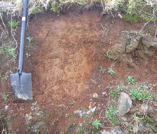 Kuri soils, Taranaki. Image: T. Webb